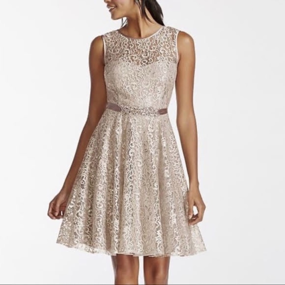 Betsy & Adam | Metallic Illusion Shimmer Lace Tank Dress with Beaded Sash | 14